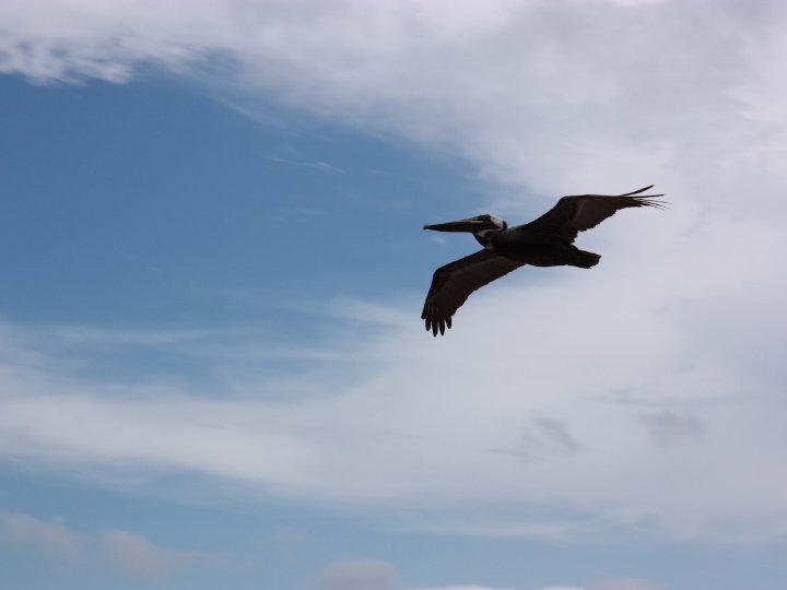 15th Floor Soaring