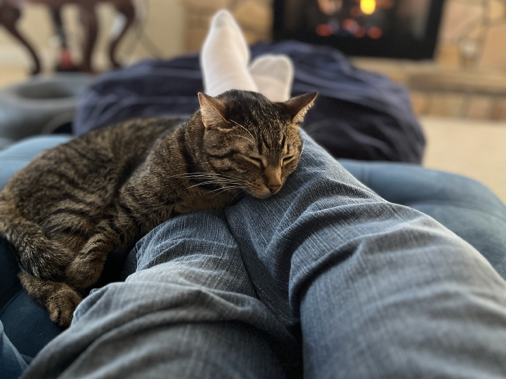 Bongo fireplace snuggles