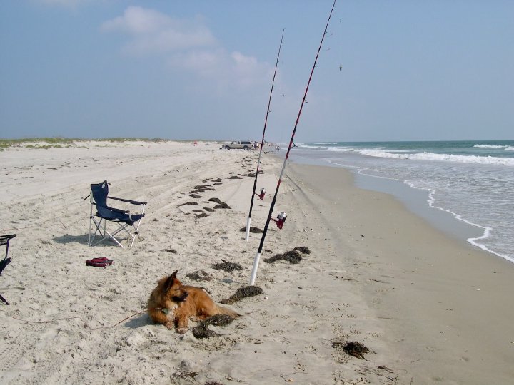 Surf fishing in 2004 seems like such a long time ago. 